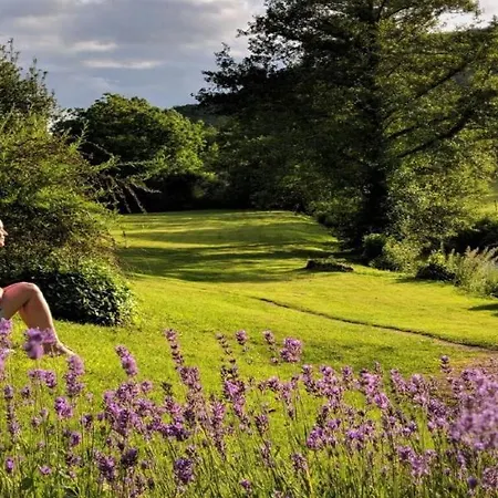 Le Tournesol, Le Banquet Aux Eyzies Semesterbostad